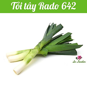 Hạt giống Tỏi Tây Rado 642 gói 1gr