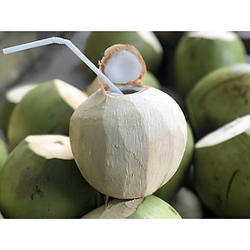 Dừa xiêm không vỏ/ quả