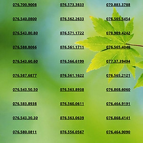 Sim số đẹp Mobifone Số Chọn Lọc Phong Thủy Nguyên Kit (  Chưa qua sử dụng)