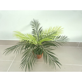 Cây Dừa Giả Trang Trí Cao 50cm 9 lá - GL13