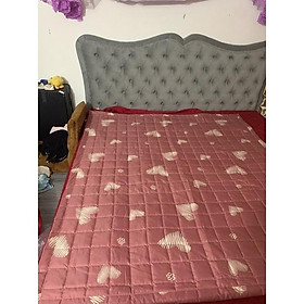 Mua Tấm lót bảo vệ nệm mỏng độ dầy 2-3cm tiêu chuẩn 5* mẫu mã đa dạng(được chọn mầu)