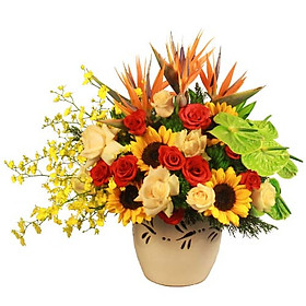 Hộp hoa tươi - Ánh Sáng Lấp Lánh 4165