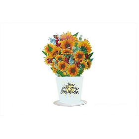 Thiệp 3D Pop Up Bó Hoa Hướng Dương – You Are My Sunshine – Thiệp Hoa Nghệ Thuật, Sinh Nhật, Chúc Mừng, Lãng Mạn, FB03