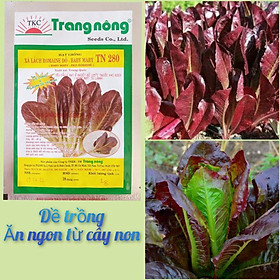 Hạt giống xà lách Romaine đỏ tím Trang Nông