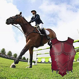 Horse Riding Vest, Equestrian Body Protector Vest | Horse Riding Training Waistcoat Body Safety Vest for Unisex Adults, M