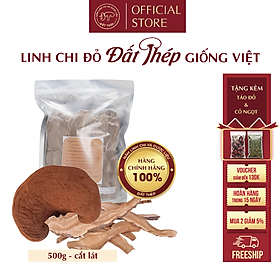 Trà Nấm Linh Chi Đỏ Đất Thép Giống Việt 500g (2 loại: Cắt lát hoặc nguyên tai) - Giải độc gan - Ổn định đường huyết