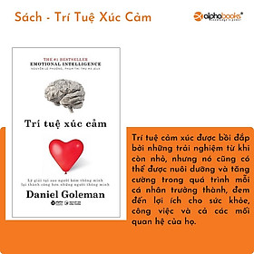 Trí Tuệ Xúc Cảm - Emotional Intelligence, Daniel Goleman Sự tự ý thức, tính kỷ luật tự giác, sự đồng cảm...