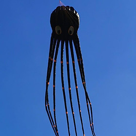 Diều khí động học bạch tuột 8 mét + TẶNG túi vải đựng diều (diều 3d, diều khổng lồ, diều to, diều độc lạ)