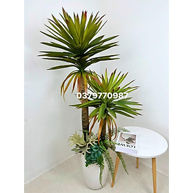Mua Bộ cây Phát tài núi 160cm giả  Cây giả decor trang trí nhà cửa nội thất phòng khách phòng ngủ