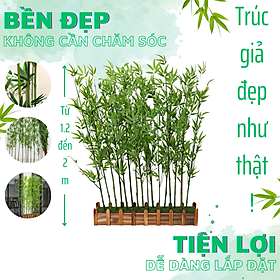 Mua Set 10 cây trúc giả (HÀNG SẴN)