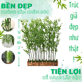 Set 10 cây trúc giả (HÀNG SẴN)