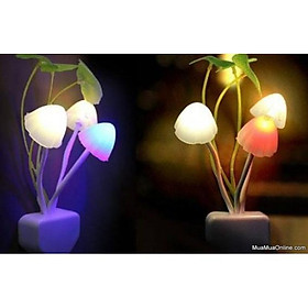 Mua Đèn ngủ cây nấm  đèn ngủ cảm ứng tối bật ngày tắt