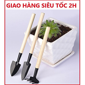 Mua Bộ 03 Dụng Cụ Làm Vườn Mini Cán Gỗ Loại Tốt