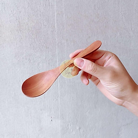 Mua Thìa   Muỗng  Nĩa  Dĩa gỗ Nhãn thủ công đẹp mắt  đa dang kích thước