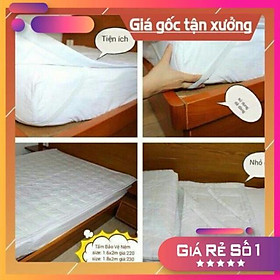 Mua TẤM BỌC BẢO VỆ NỆM COTTON CAO CẤP