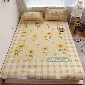 Chiếu Điều Hòa Tencel Cao Su Non 3D CHICLIFE