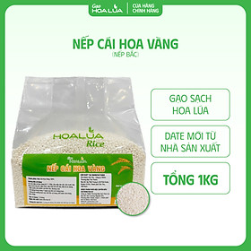 [Sản phẩm mới] Nếp Cái Hoa Vàng (Nếp Bắc) - Dẻo mềm, thơm ngon đặc trưng - Túi 1Kg