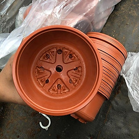 Mua Chậu nhựa sz lớn 15cm