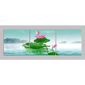 Mua Tranh Treo Tường Hiện Đại Phòng Khách - Sen T3M---11337