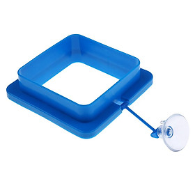 Feeding Ring Aquarium   Tank Station Floating Food Tary Feeder Round