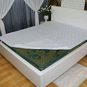 Mua Tấm Bảo Vệ Nệm - Chất cotton+poly 1m6