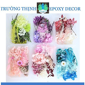 Mua Hộp Hoa Khô Mix Tổng Hợp Trang Trí Resin - Trường Thịnh Sài Gòn