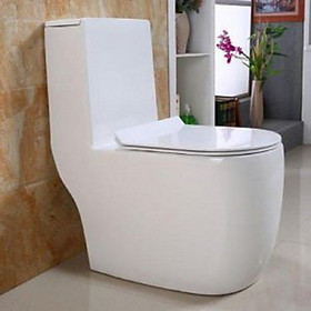 Mua BỒN CẦU 1 KHỐI GRVBC R76