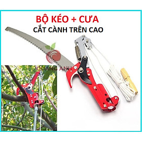 Bộ Kéo + Cưa Cắt Cành Trên Cao Có Dây Rút Chuyên Dụng - Lưỡi Hợp Kim SK5 Cao Cấp