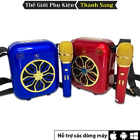 Mua Loa Karaoke Bluetooth SD-301 | Tặng kèm 2 Micro không dây cho Âm thanh trong trẻo | Loa Bass mạnh mẽ