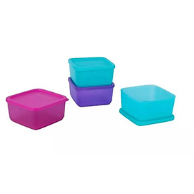 Mua Hộp Bảo Quản Thực Phẩm Small Summer Fresh 650ml Tupperware