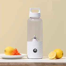Máy xay sinh tố cầm tay mini Vitamer 500ml