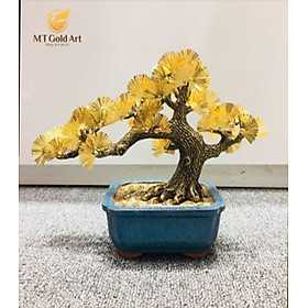 Hình ảnh chậu tùng la hán dát vàng (20x26x9cm) MT Gold Art- Hàng chính hãng, trang trí nhà cửa, phòng làm việc, quà tặng sếp, đối tác, khách hàng, tân gia, khai trương 