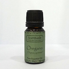 Tinh Dầu Kinh Giới - Rau Thơm 10ml