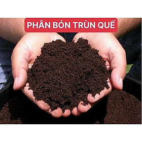 Mua Phân bón trùn quế hữu cơ nguyên chất bổ sung dinh dưỡng cải tạo đất cây trồng chuyên dùng cho cây cảnh - hoa - củ quả