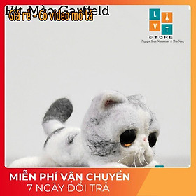 Bộ Len Chọc Làm Mèo Garfield - Needle Felting Cat - Handmade, diys