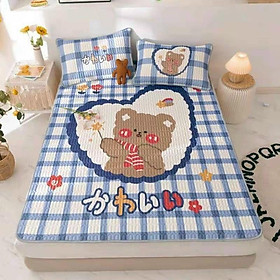 Mua Chiếu điều hòa tencel cao su non latex 5D
