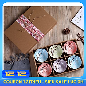 Bộ 6 chén (bát) cơm sứ phong cách Nhật Bản hoa văn bốn mùa rực rỡ