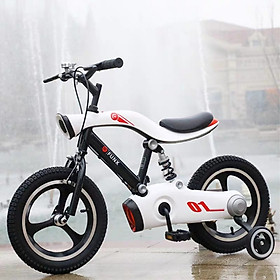 Xe đạp FX-001