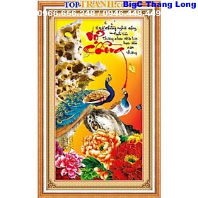 Mua Tranh thêu chữ thập chữ vợ chồng công và hoa mẫu đơn