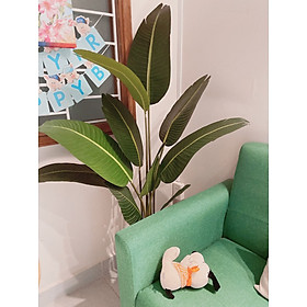 Mua Cây chuối cảnh giả lá bóng