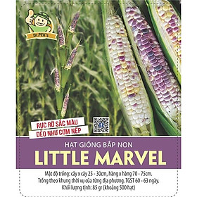 Hạt giống bắp non Little Marvel - dẻo ngon như cơm nếp, màu sắc đẹp, dinh dưỡng cao, bắp mini nhiều màu, cây từ 3 đến 5 trái