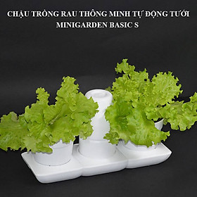 Chậu trồng rau sạch tự động tưới nước và tự chăm sóc rau tại nhà trong 2 tháng Minigarden Basic S (1 bộ gồm 2 chậu S, 1 khay hứng nước, 1 bình chứa nước và phân)