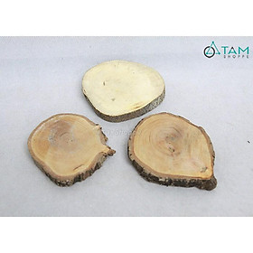 COMBO 2 Lát gỗ mini trang trí số 02