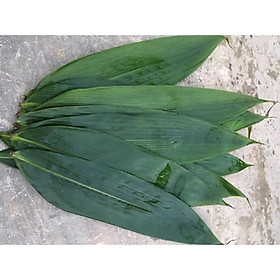1kg lá tre tươi gói bánh , làm lá xông - hàng sạch nhà trồng, lá chọn to đẹp