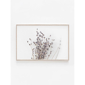 Tranh treo tường | Tranh cây lá nhiệt đới - Lavender Print,Botanical Print,Horizontal Wall Art