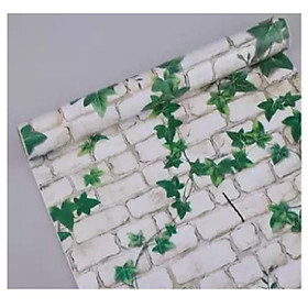 Mua 10m giấy dán tường DÂY LEO có keo sẵn