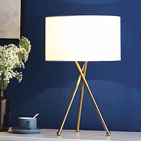 Mua Đèn bàn trang trí phòng ngủ   phòng khách hiện đại DB 504