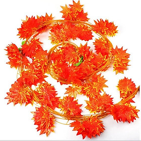 Mua Combo 10 dây leo đỏ  dây lá phong trang trí nhà cửa  sân vườn