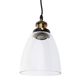 E27 vintage glass + iron chandelier pendant light lampshade lamp cage 01