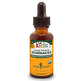 Thực phẩm chức năng tăng cường sức đề kháng GNC Echinacea Extract 500mg 100 viên